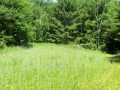 Shell Lake Land Real Estate