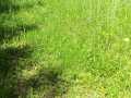 Shell Lake Land Real Estate