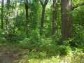 Shell Lake Land Real Estate