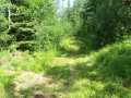 Shell Lake Land Real Estate