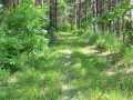 Shell Lake Land Real Estate