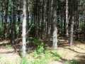 Shell Lake Land Real Estate