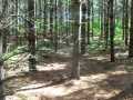 Shell Lake Land Real Estate