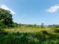 Rice Lake Farm Real Estate