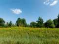 Rice Lake Farm Real Estate
