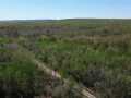 Bruce Land Real Estate
