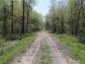 Bruce Land Real Estate