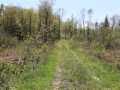 Bruce Land Real Estate