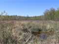 Bruce Land Real Estate