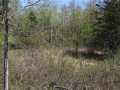 Bruce Land Real Estate