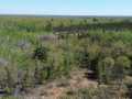 Bruce Land Real Estate