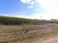 Menomonie Land Real Estate
