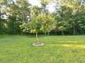 Solon Springs Residential Real Estate