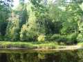 Ladysmith Residential Real Estate