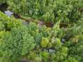 Ladysmith Residential Real Estate