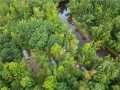 Ladysmith Residential Real Estate