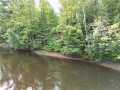 Ladysmith Residential Real Estate