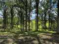 Rice Lake Land Real Estate