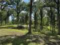 Rice Lake Land Real Estate