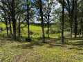Rice Lake Land Real Estate