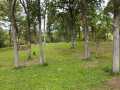 Rice Lake Land Real Estate