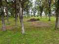 Rice Lake Land Real Estate