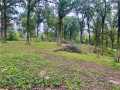 Rice Lake Land Real Estate