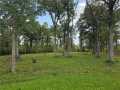 Rice Lake Land Real Estate