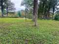 Rice Lake Land Real Estate
