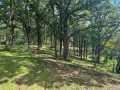 Rice Lake Land Real Estate