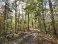 Weyerhaeuser Residential Real Estate