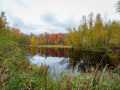 Gilman Residential Real Estate