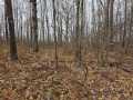 Rice Lake Land Real Estate