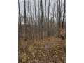Rice Lake Land Real Estate