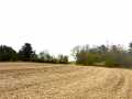 Hixton Land Real Estate