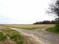 Hixton Land Real Estate