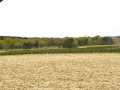 Hixton Land Real Estate