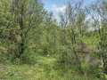 Eau Claire Residential Real Estate
