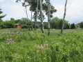 Menomonie Land Real Estate
