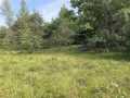 Fairchild Land Real Estate