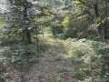 Fairchild Land Real Estate