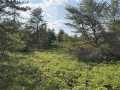 Fairchild Land Real Estate