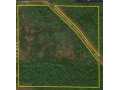 Fairchild Land Real Estate