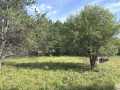 Fairchild Land Real Estate
