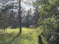 Fairchild Land Real Estate