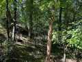 Menomonie Land Real Estate