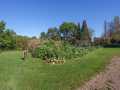 Medford Residential Real Estate