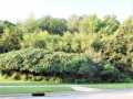 Eau Claire Multifamily Real Estate