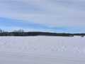 Rice Lake Land Real Estate