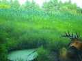 Property Photo 46